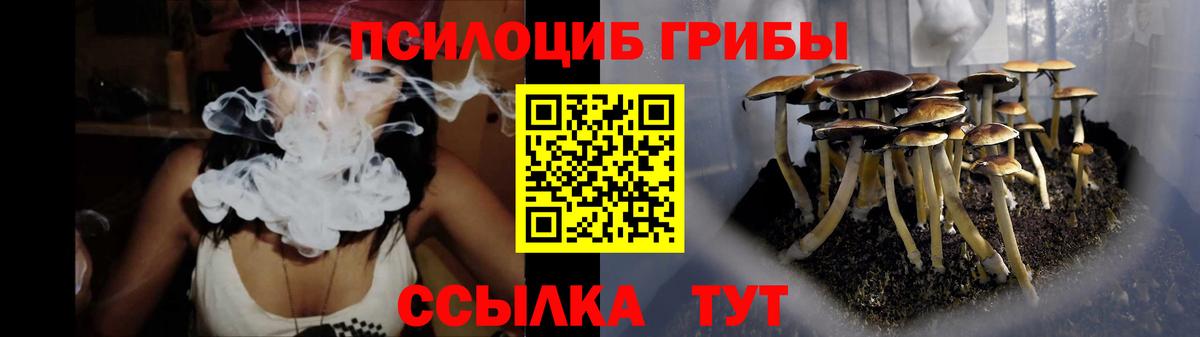 Галлюциногенные грибы прущие грибы  Вход с VPN  Малоярославец 